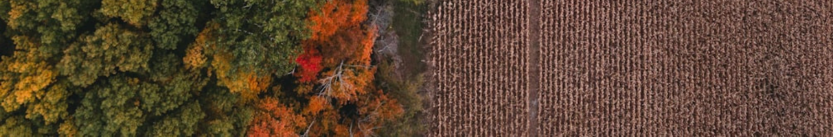 Indiana Al-Anon Family Group Website